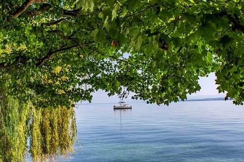 Bodensee : Eiland Mainau