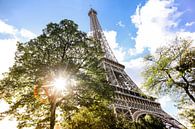 Paris Eiffel Tower von Mark Zanderink Miniaturansicht