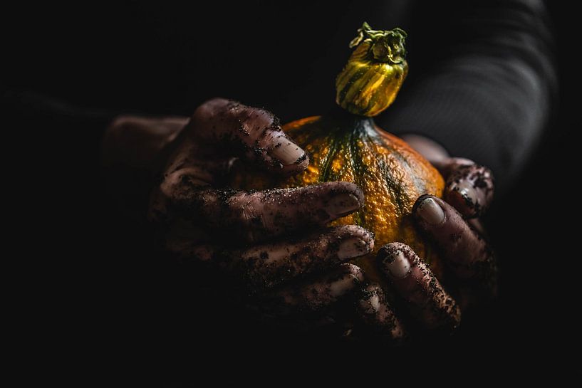 citrouille par kim brugman fotografie