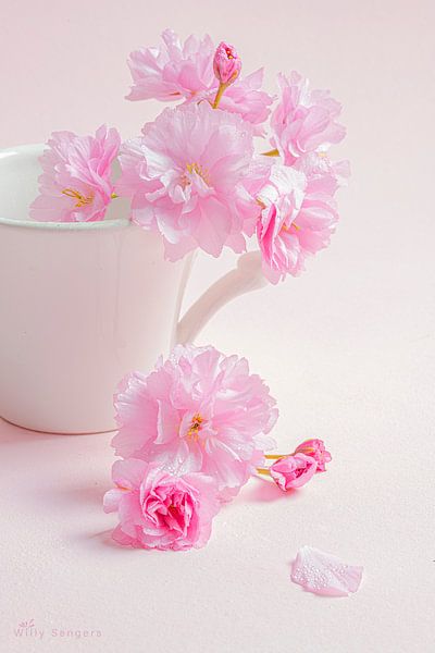 Pink by nature by Willy Sengers