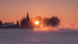 Sunrise Persians in the snow by Femke Straten