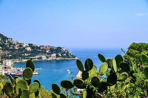 Uitzicht op Nice vanaf Colline du Château tijdens een zomerse dag.