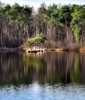 Waterspiegeling