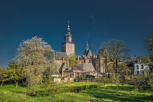 Blick auf Zutphen in der frühen Morgensonne