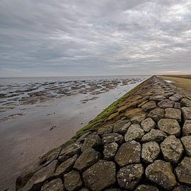 Wattenmeerküste @Moddergat-Paesens (Friesland) von Roland's Foto's