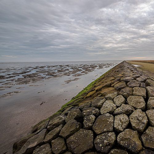 Waddenzee kust @Moddergat-Paesens (Friesland)