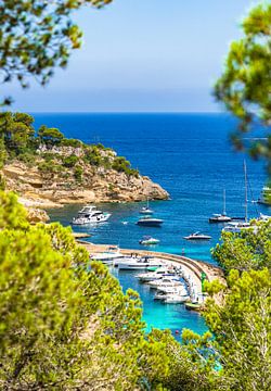 Spaniens Küste, schöner Blick auf den Yachthafen von Portals Vells von Alex Winter