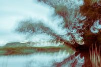 Œuvre photographique impressionniste Riverbank Reed