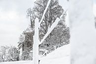 Schloss Schauensee in winter, Luzern, Switzerland by José IJedema thumbnail