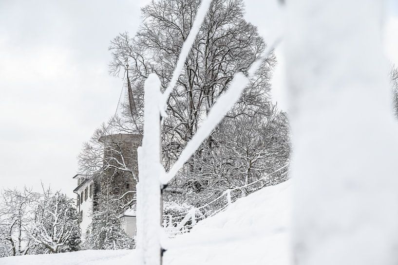 Schloss Schauensee in winter, Luzern, Switzerland by José IJedema