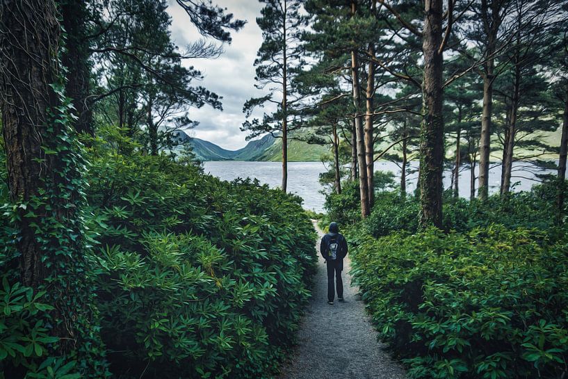 Gemälde Look - Glenveagh-Nationalpark von Martin Diebel