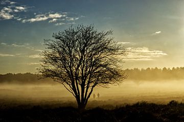 Atmospheric tree in morning fog by Herman Kremer