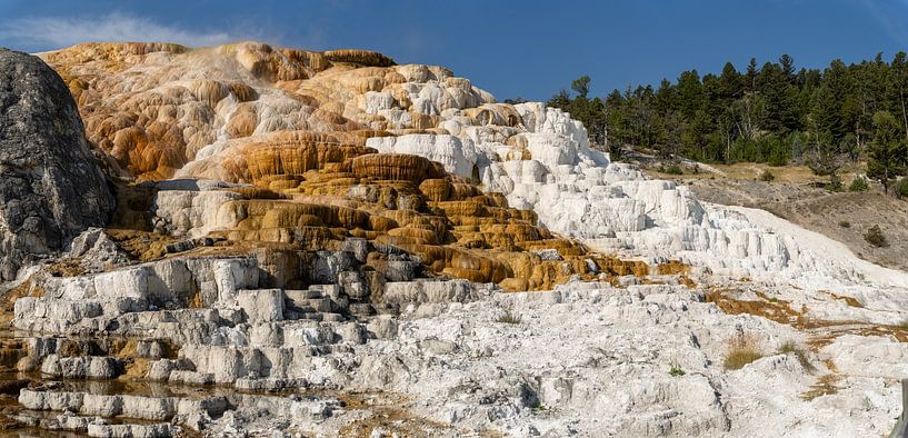 Mammoth Hot Springs, Yellowstone National Park, USA by Jeroen van Deel