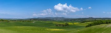 Les collines du Chianti sur Peter Baier