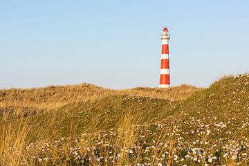 Phare et dune rose - Natural Ameland sur Anja Brouwer Fotografie