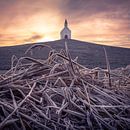 La butte de Leidschenveen par Jolanda Aalbers Aperçu