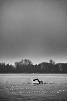Nageur en eau libre en hiver, noir et blanc