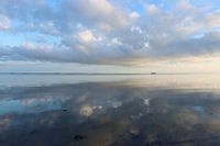 Het wad bij Ameland