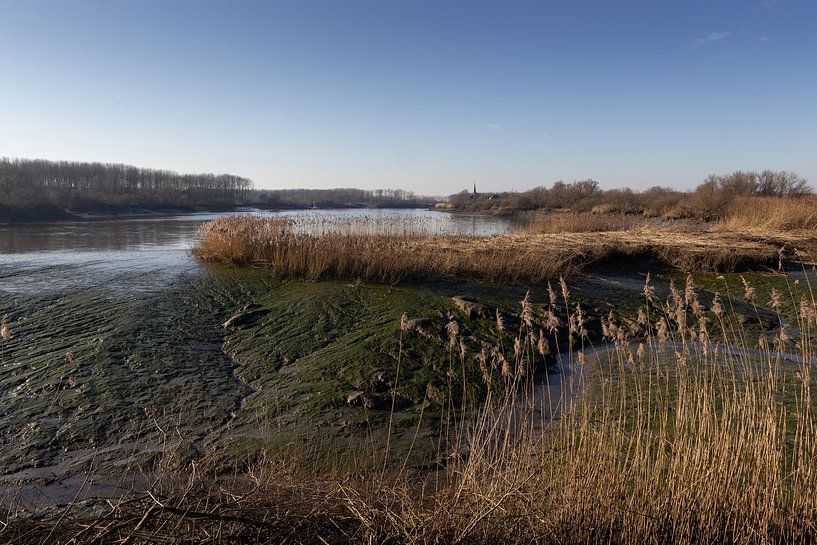L'Escaut à marée basse, Belgique par Imladris Images