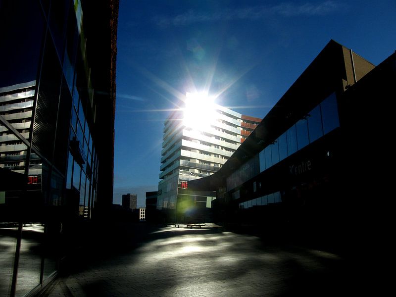 Almeerse Zonnegroet by Viktor  Tovenaar