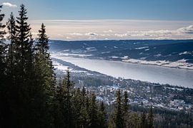 Olympic village by Annika Koole