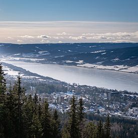 Olympisches Dorf von Annika Koole