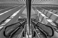 La gare de Liège-Guillemins