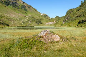 Bergmeer by Johan Vanbockryck