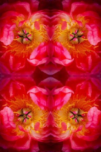 Heart of Bloom by FotoGraaGHanneke