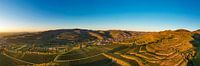 Panorama aerial view vineyards Vogtsburg im Kaiserstuhl by Werner Dieterich thumbnail