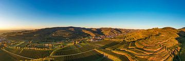 Panorama luchtfoto wijngaarden Vogtsburg im Kaiserstuhl van Werner Dieterich