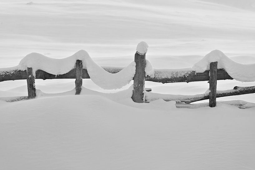 herumlungern von Lies Nierop Fotografie