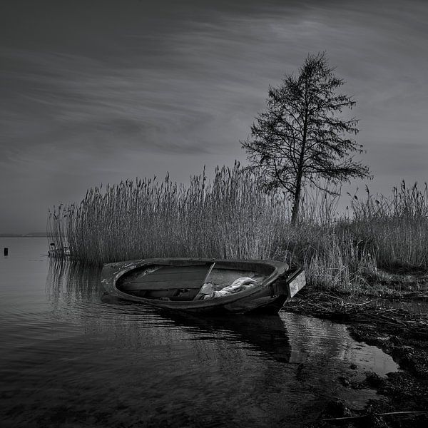 Stranded by Jenco van Zalk