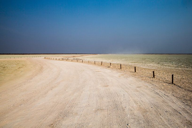 Saltpan in Etosha NP by Henri Kok