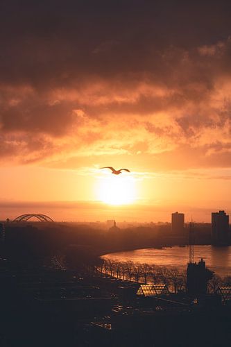 Bird's eye view in Rotterdam
