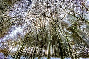 Landschaft