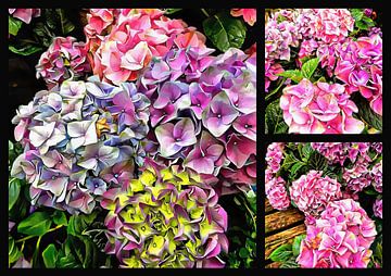 Prachtige hortensia's Collage 2 van Dorothy Berry-Lound
