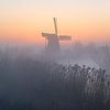 Noordermolen at Dawn van Sander van der Werf