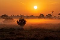 Nebliger Sonnenaufgang