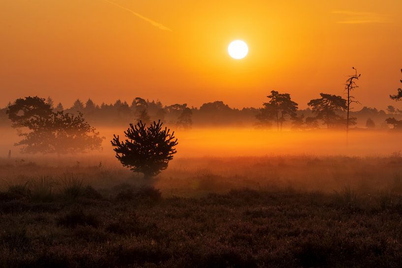 Lever de soleil brumeux par Sander van Gorp