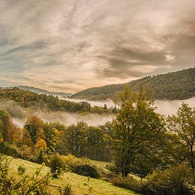 Autumn with its bright colours by Dieter Ludorf