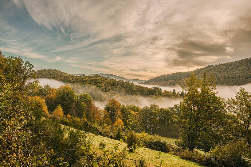 Autumn with its bright colours by Dieter Ludorf