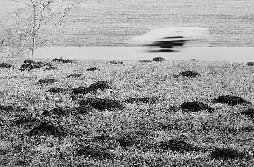Slow vs Fast van Jacques Vledder