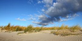 Dünenpanorama von Ostsee Bilder