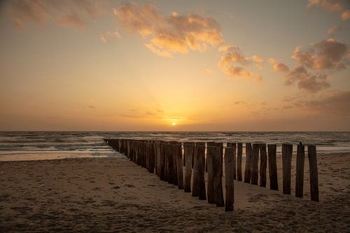 Soleil du soir sur la plage de Zoutelande