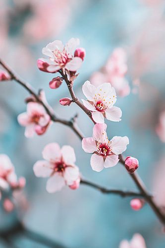 Prachtige roze bloesems op tak