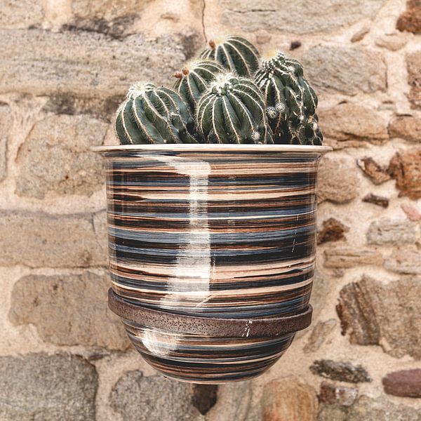 Cactus in striped pot on wall in Spain by Sandra Hogenes