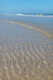Schiermonnikoog, die goldene Nordsee von Dan Photo Shaman