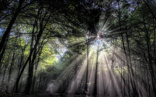 Imaginations From The Other Side