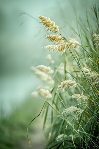 Summer breeze on a beautiful nature trail